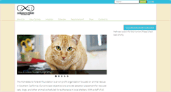 Desktop Screenshot of homelesstoforever.com